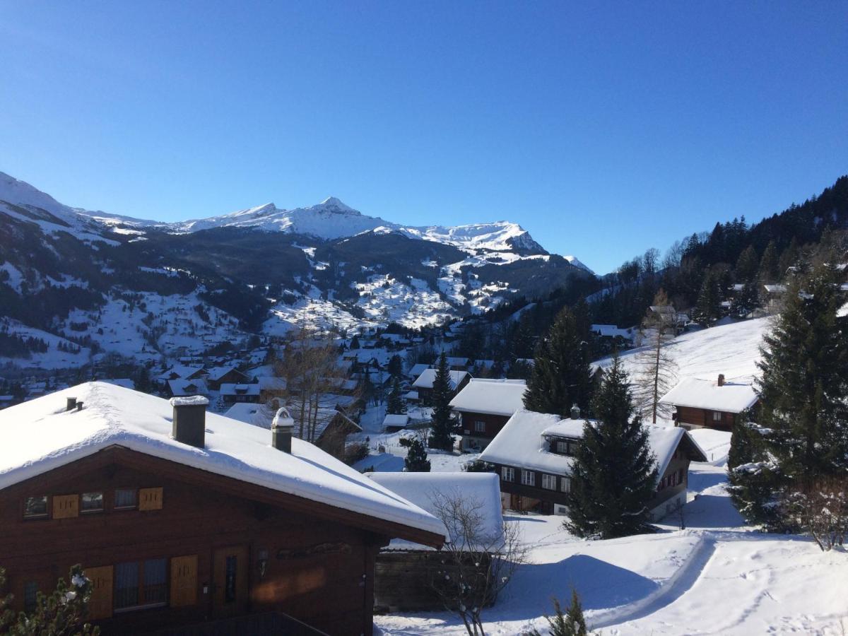 Apartmán Grindelwald-Sunneblick Exteriér fotografie